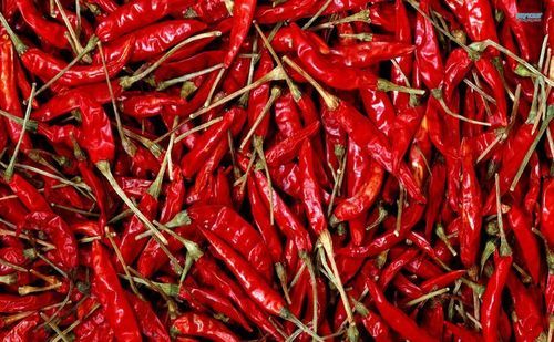 Mirchi (Dry Chilli) Nandurbar 100gm